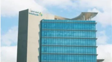 77 ألف مستفيد.. تحقيق تحول كبير في التمكين الاقتصادي 2025 عبر مشاركة فاعلة من مستفيدي الضمان الاجتماعي